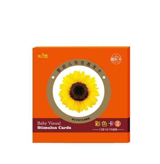 국제 표준 카트온 제작