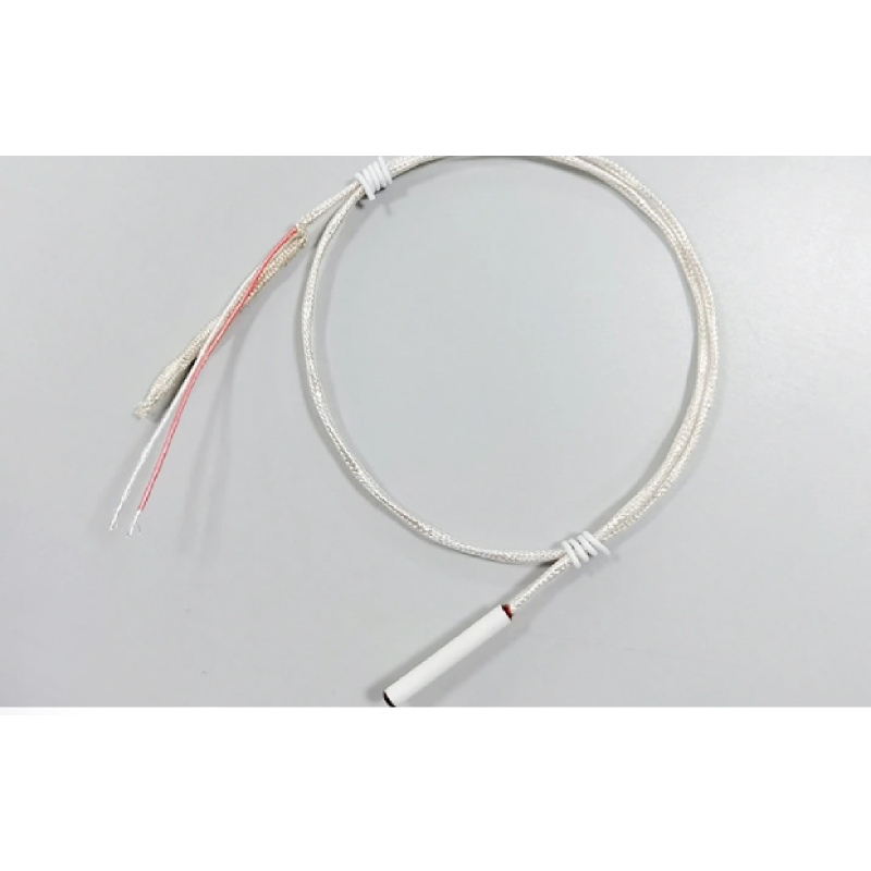 Nhiệt kế điện trở bạch kim PT100 (RTD)