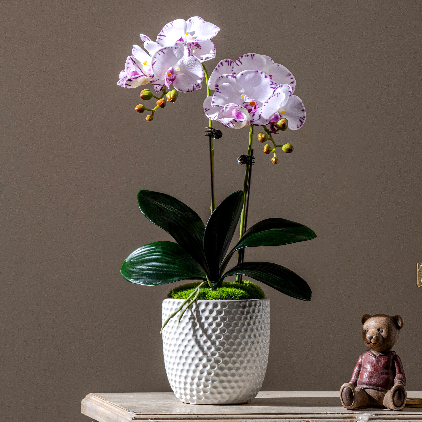 Versatile Placement and Environmental Adaptability