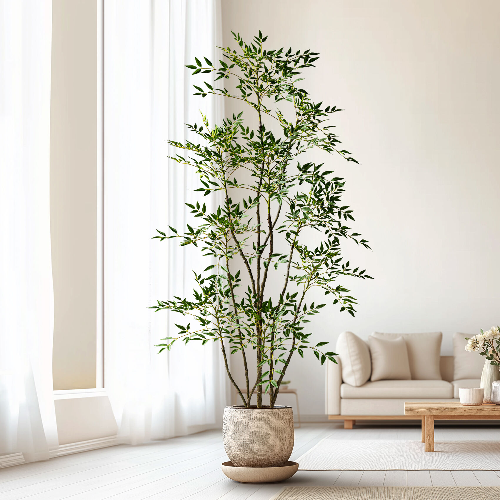 Zero Maintenance Botanical Beauty