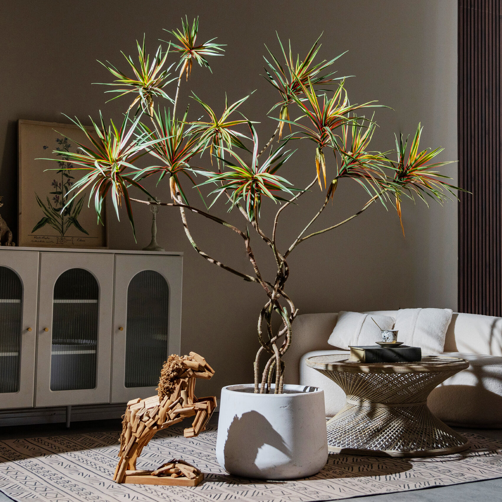 Тропическа красота без поддръжка