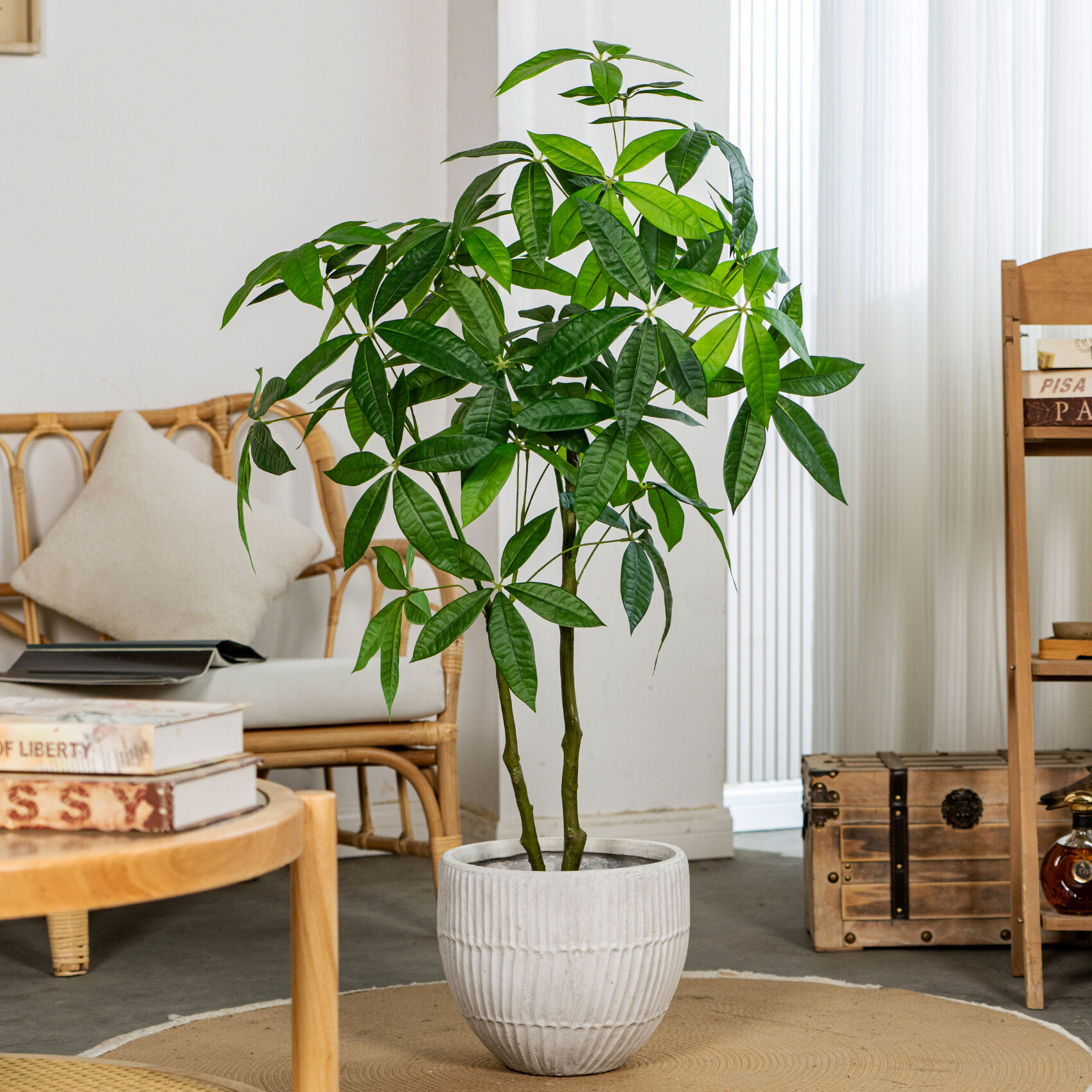 נוחות של תחזוקה אפסית לחיי המודרניות