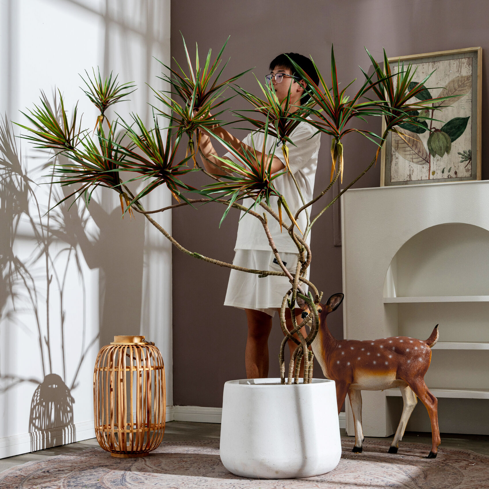 Непреходна траевност и устойчивост към временните условия