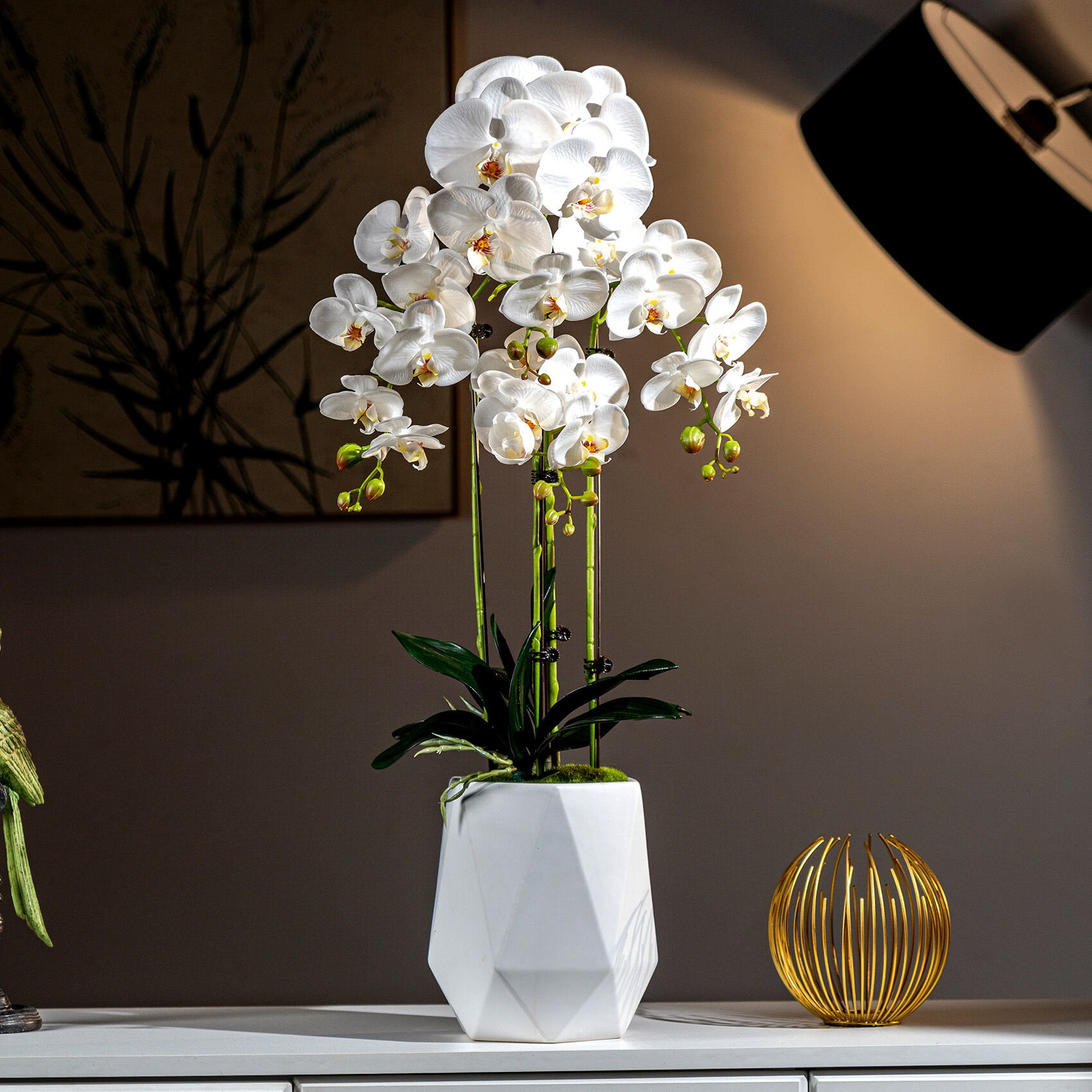 Профессионална инсталация и предимства за локална достъпност