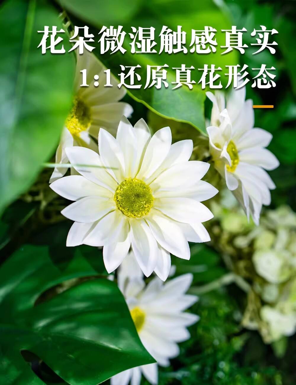 详情图08.jpg