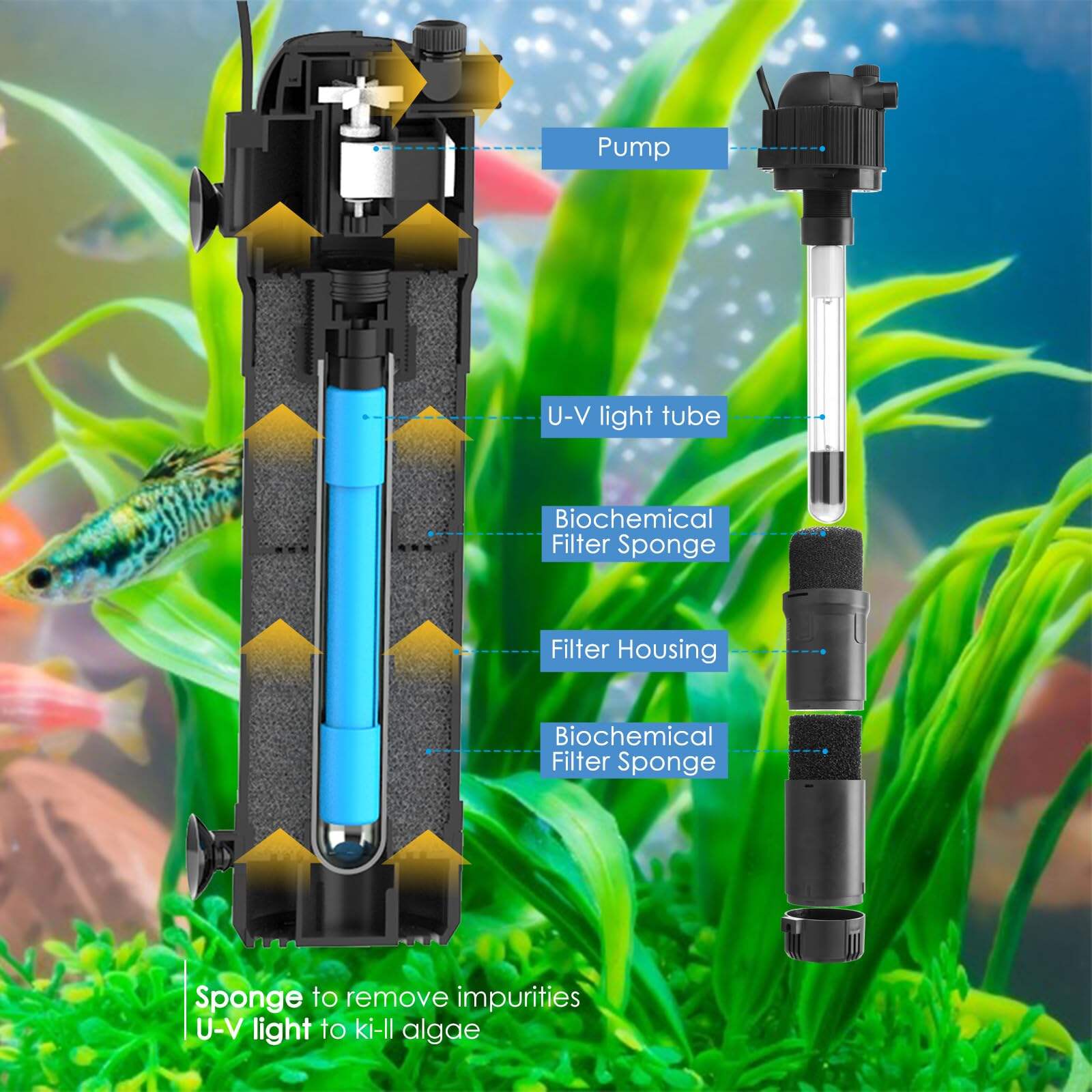 Fortgeschrittene UV-Technologie