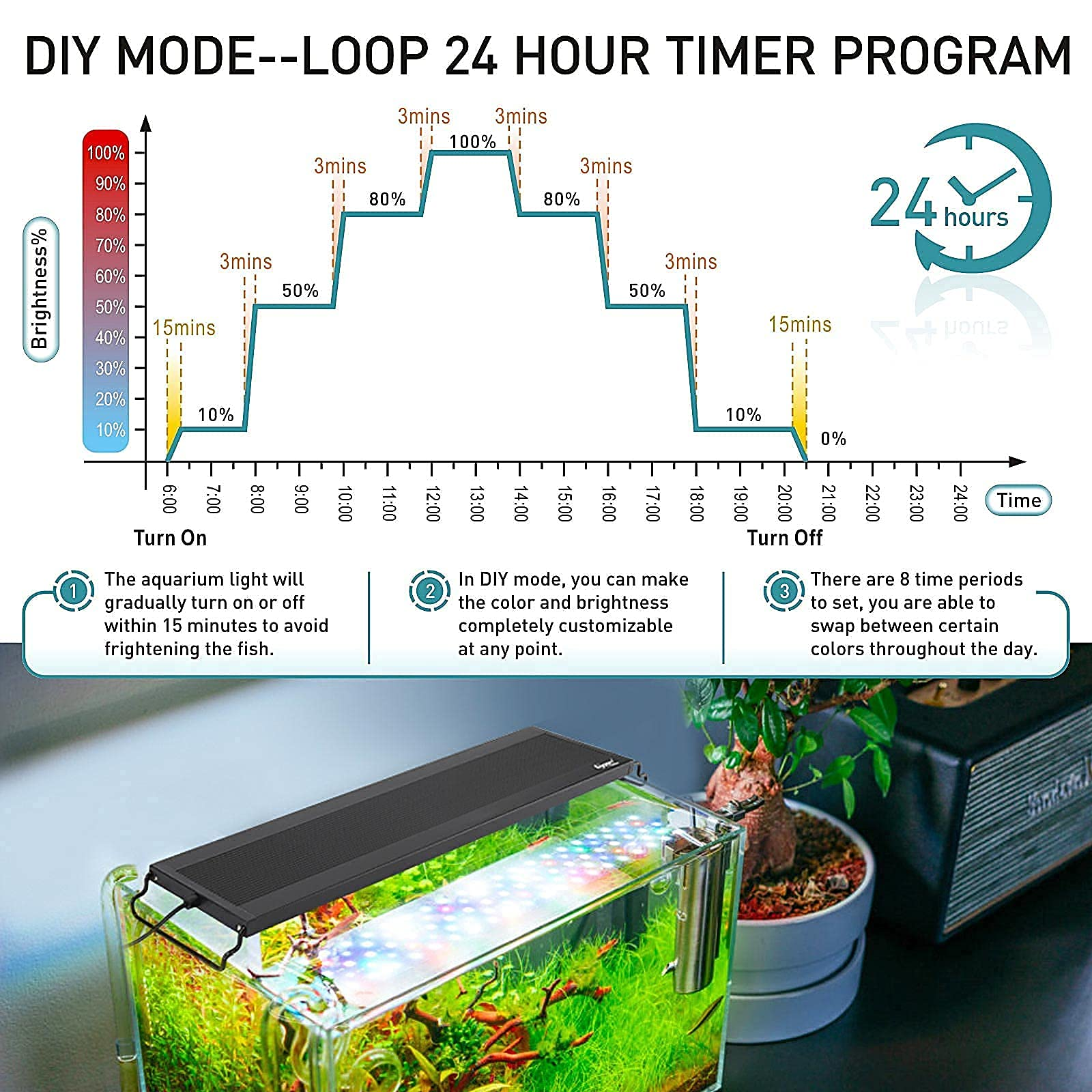 Innovative Aquarium Accessories to Enhance Your Fishkeeping Experience