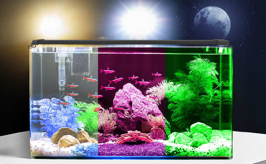 What Essential Accessories Are Needed for a New Aquarium?