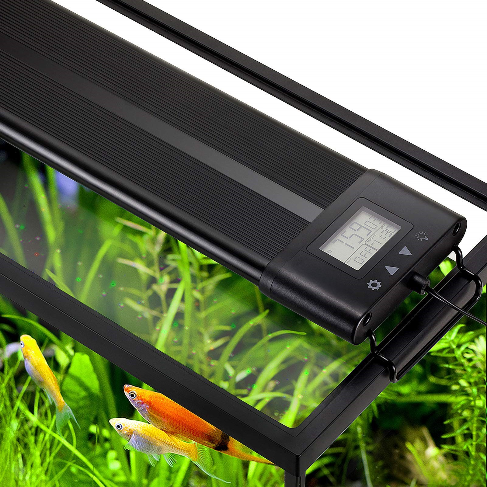 Why Intelligent Aquarium Lights Are a Game Changer for Fish Keepers