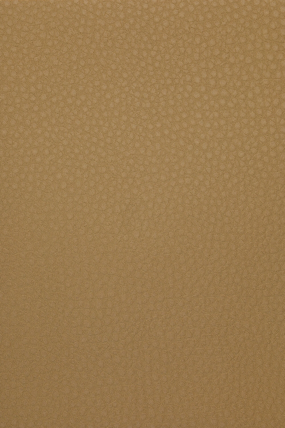 CSC-599.jpg