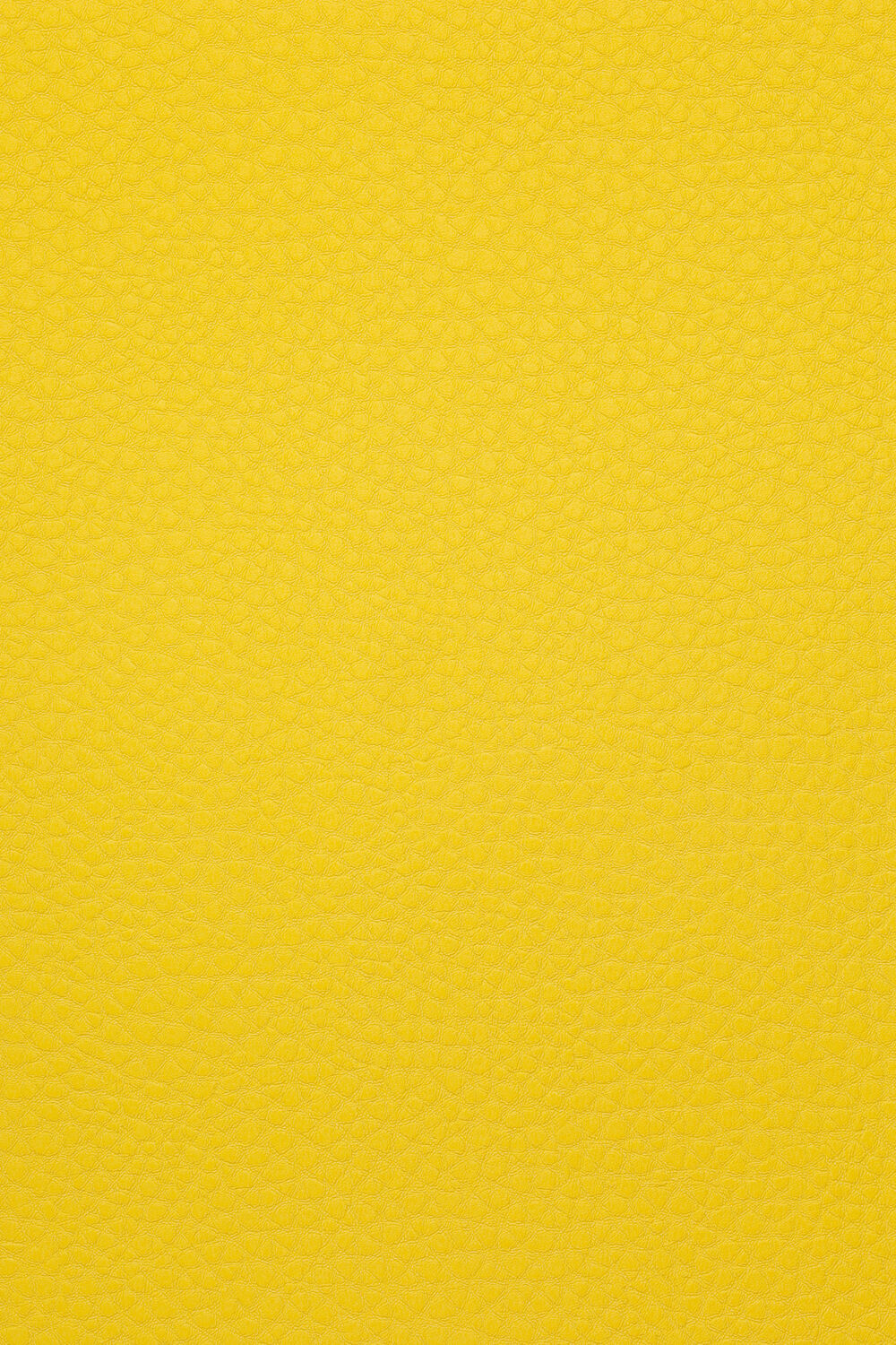 CSC-593.jpg