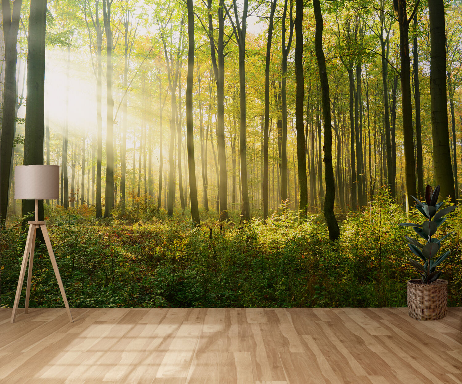 What Are the Latest Trends in Customized 3D Wallpaper for 2023?
