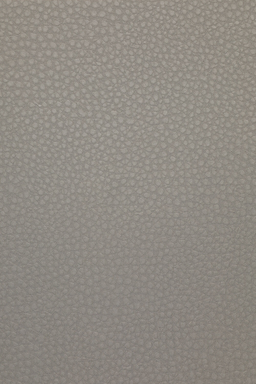 CSC-597.jpg