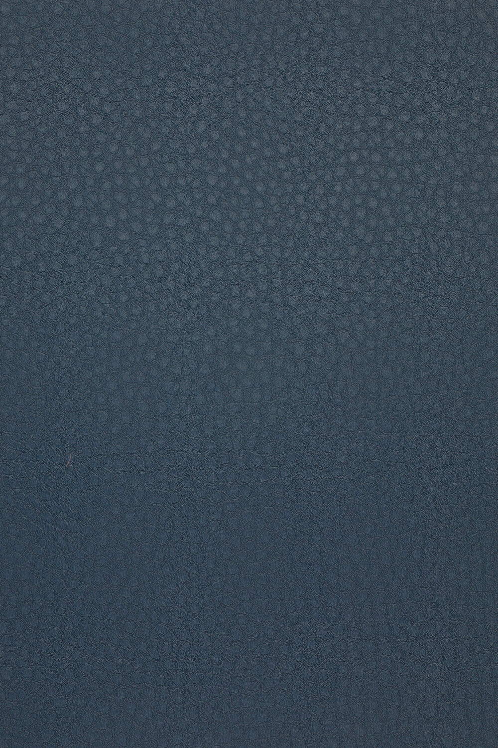 CSC-585.jpg