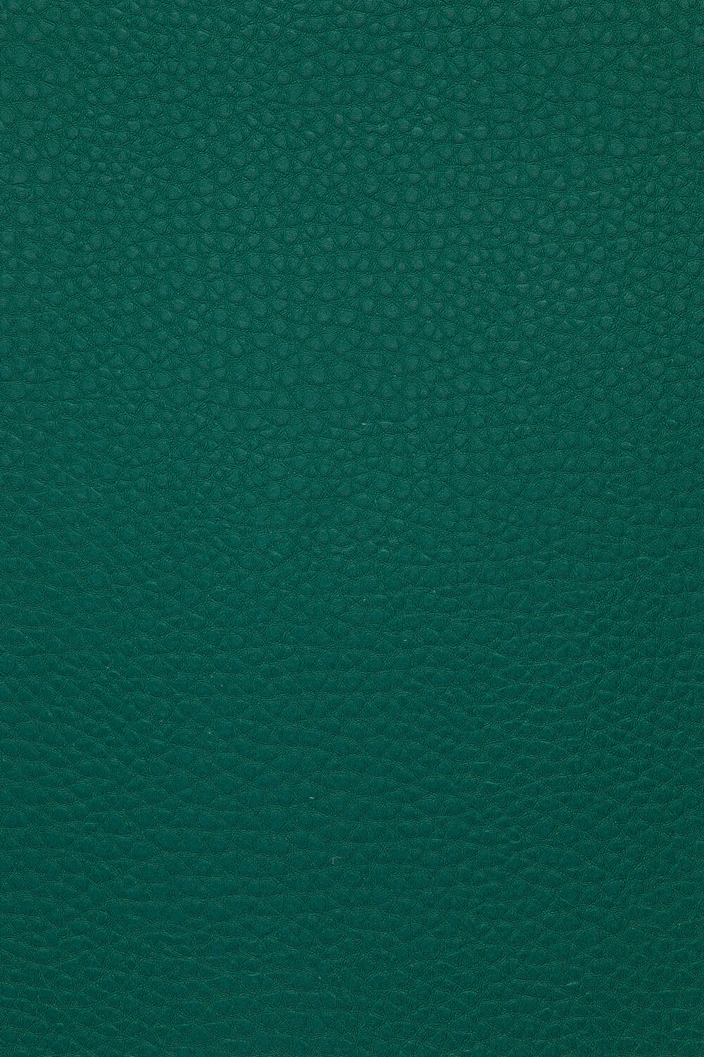 CSC-586.jpg