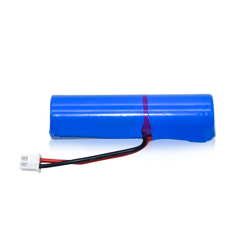 Capacità di Caricamento Versatili