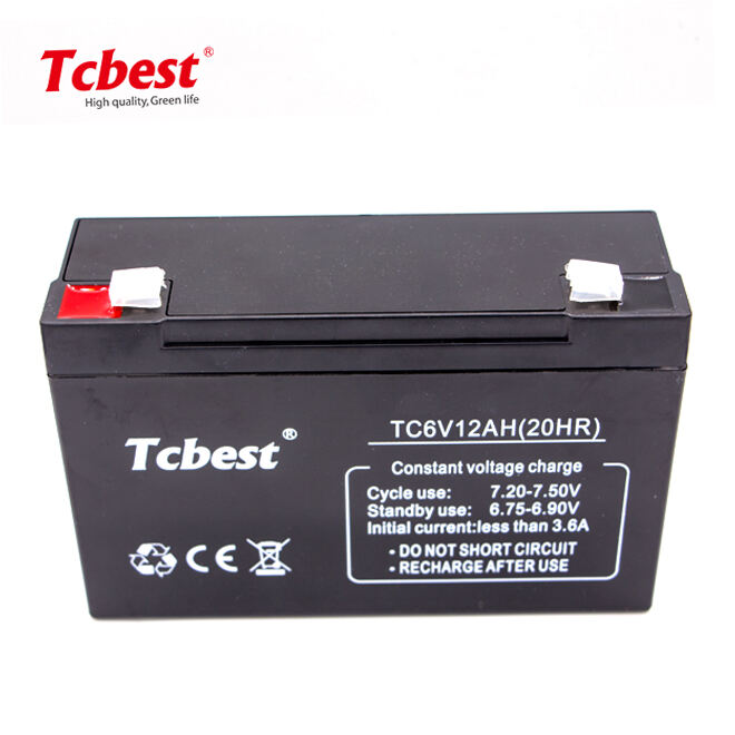 Competenza tecnica e servizi di supporto