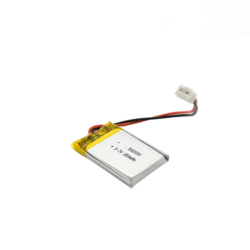 Compact 502030 3.7V 250mAh Li-Po Rechargeable Battery for Small Electronics