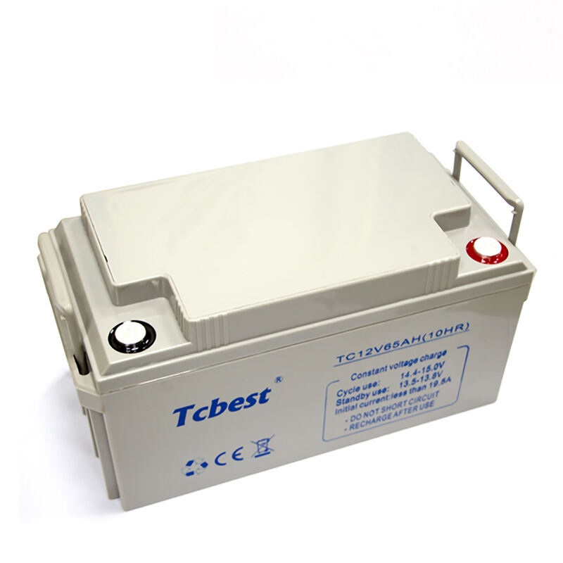 Blyakkumulator 12V 65AH Producent