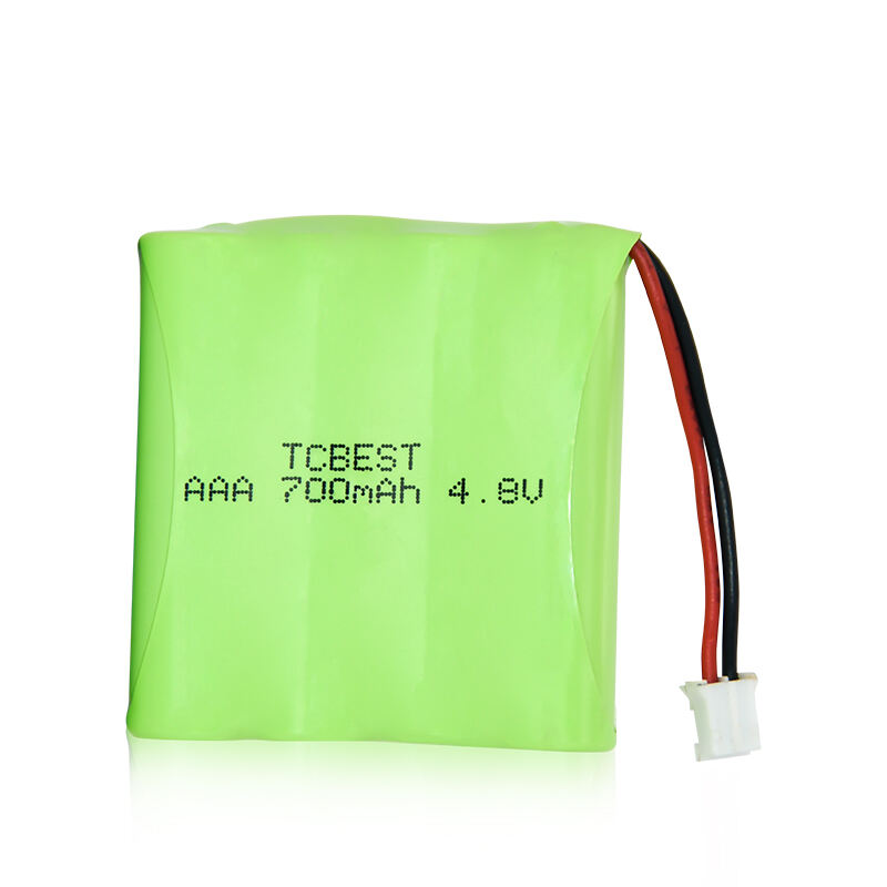 NI-MH Battery Pack AAA 700mAh 4.8v