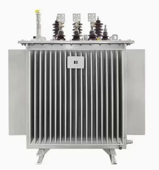 china distribution oil immersed transformer manufacturers S13 S20 S22 Oil-Immersed Power Transformer Manufacturer