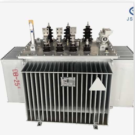 The Pros and Cons of Oil Immersed Transformers in Power Systems