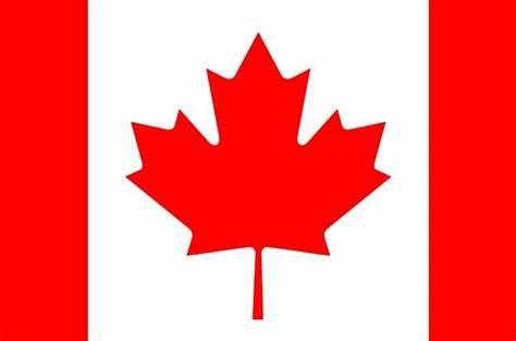 Our Business Partner