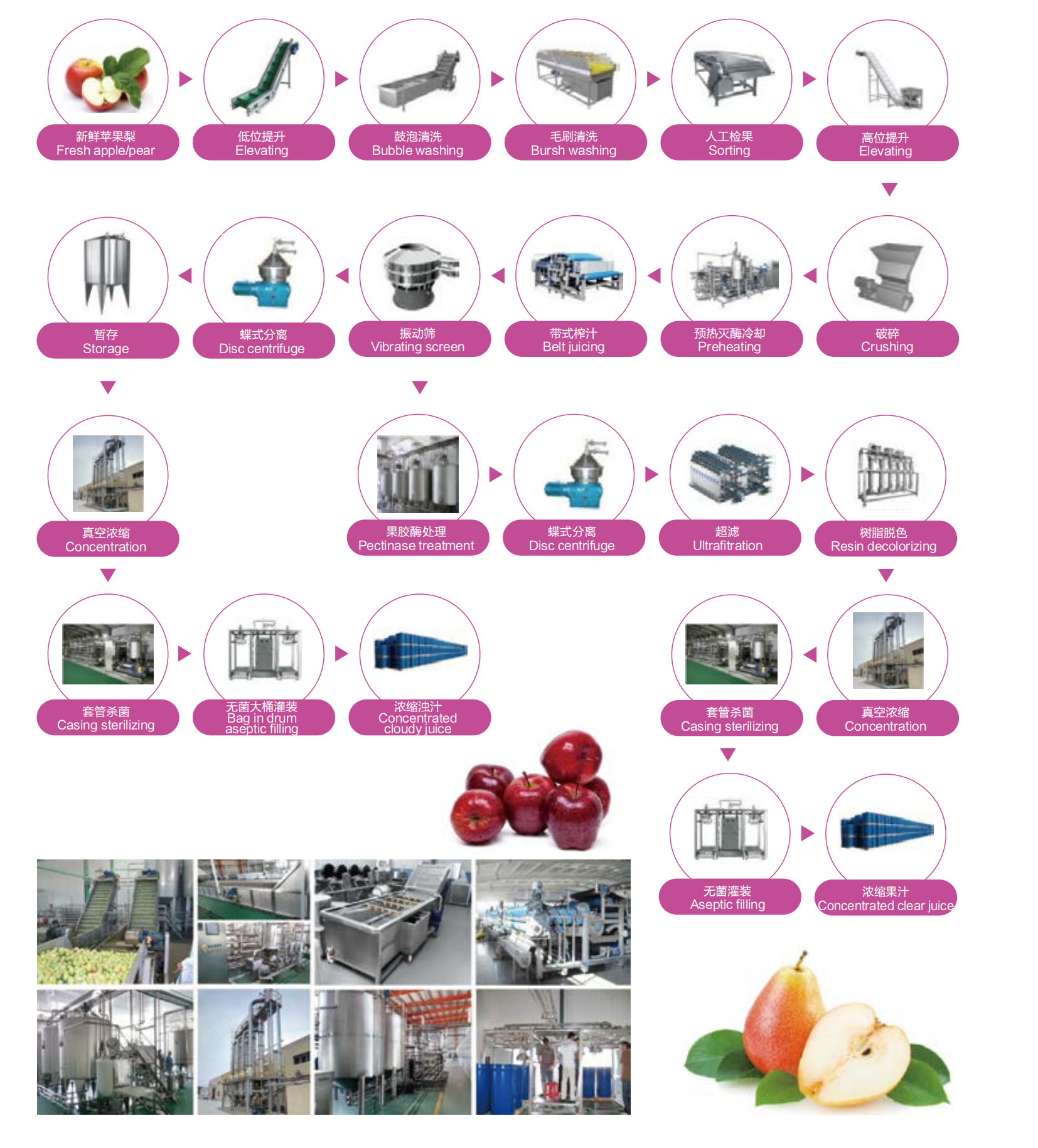 pear juice processing line.jpg