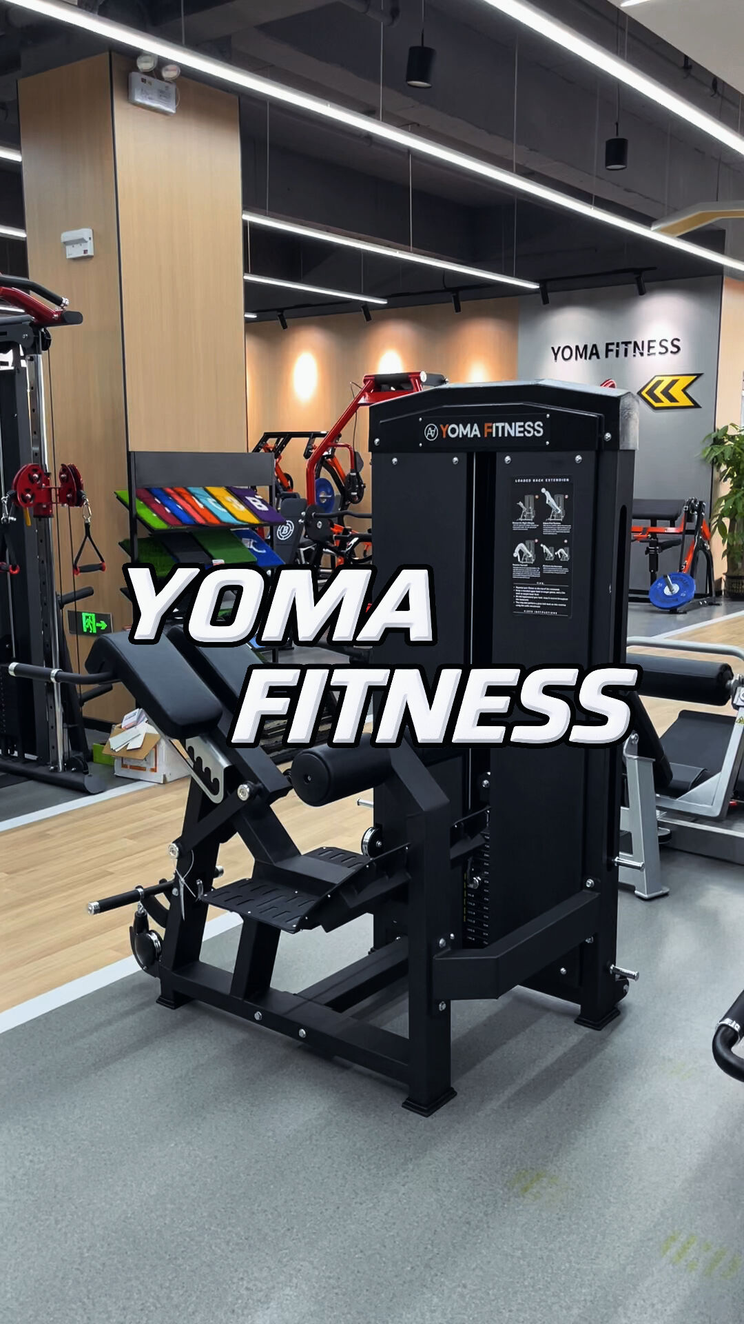 Back Extension Machine