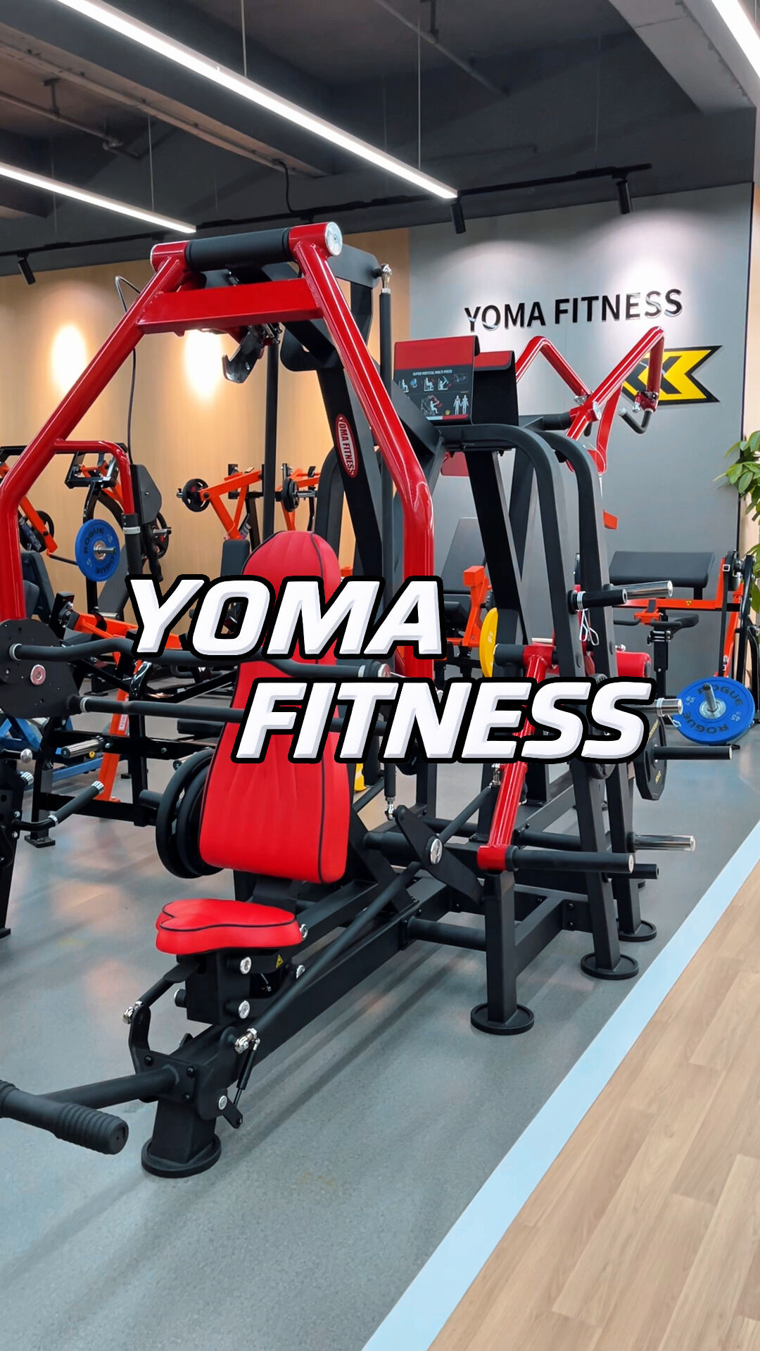 Seated Chest Press Machine