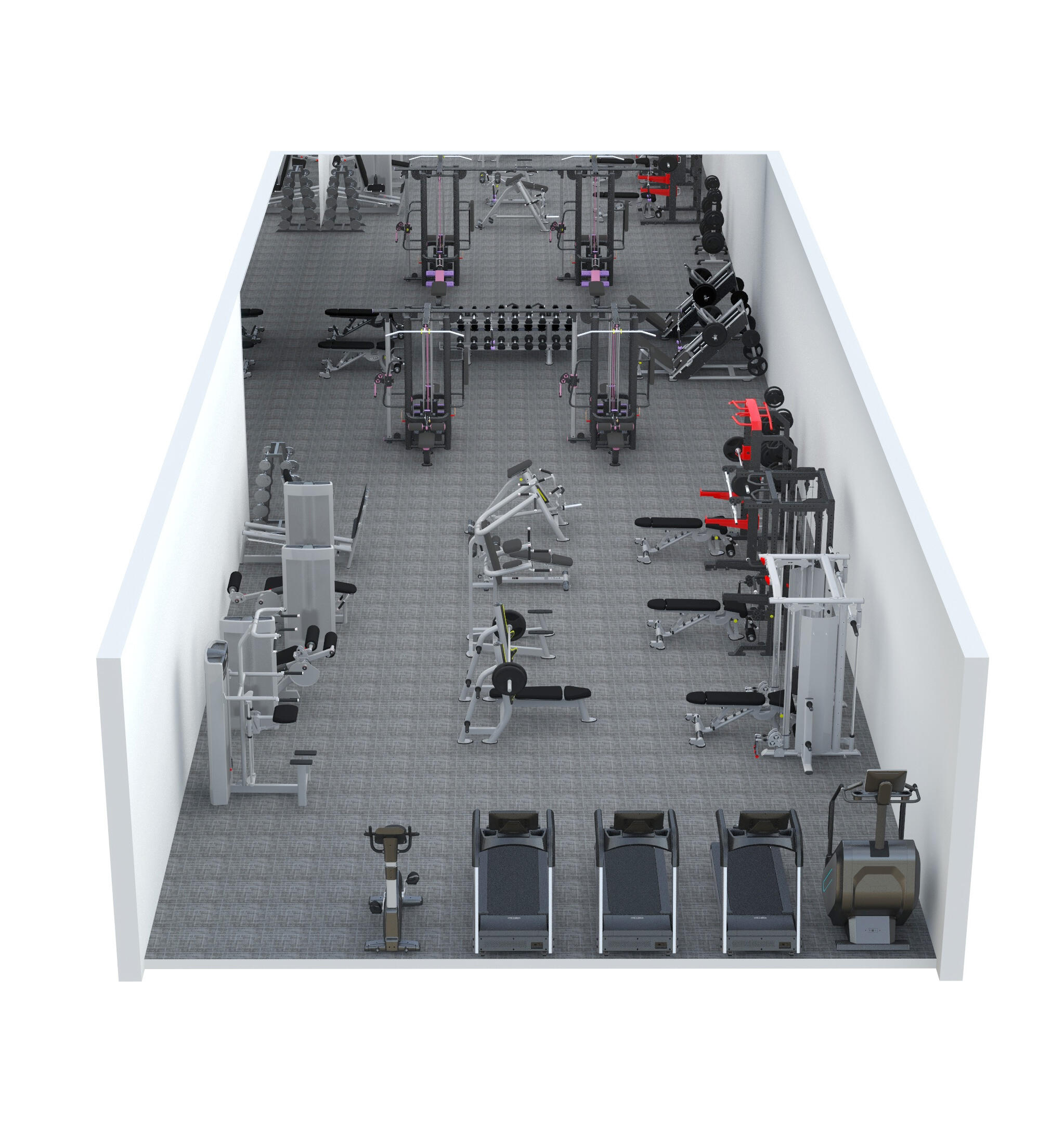 نطاق عالمي واسع