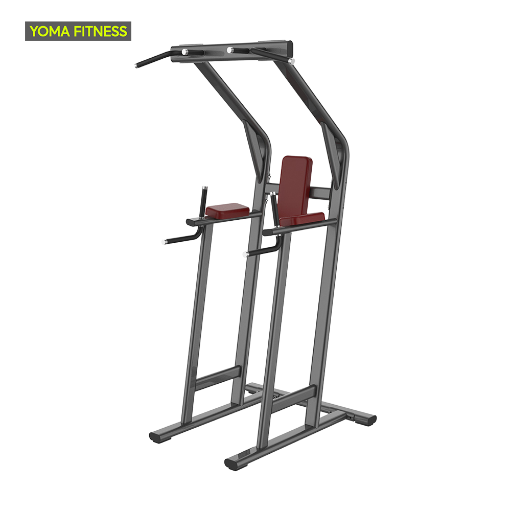 YOMA FITNESS LF Dip- und Beinhebe-Kombistation