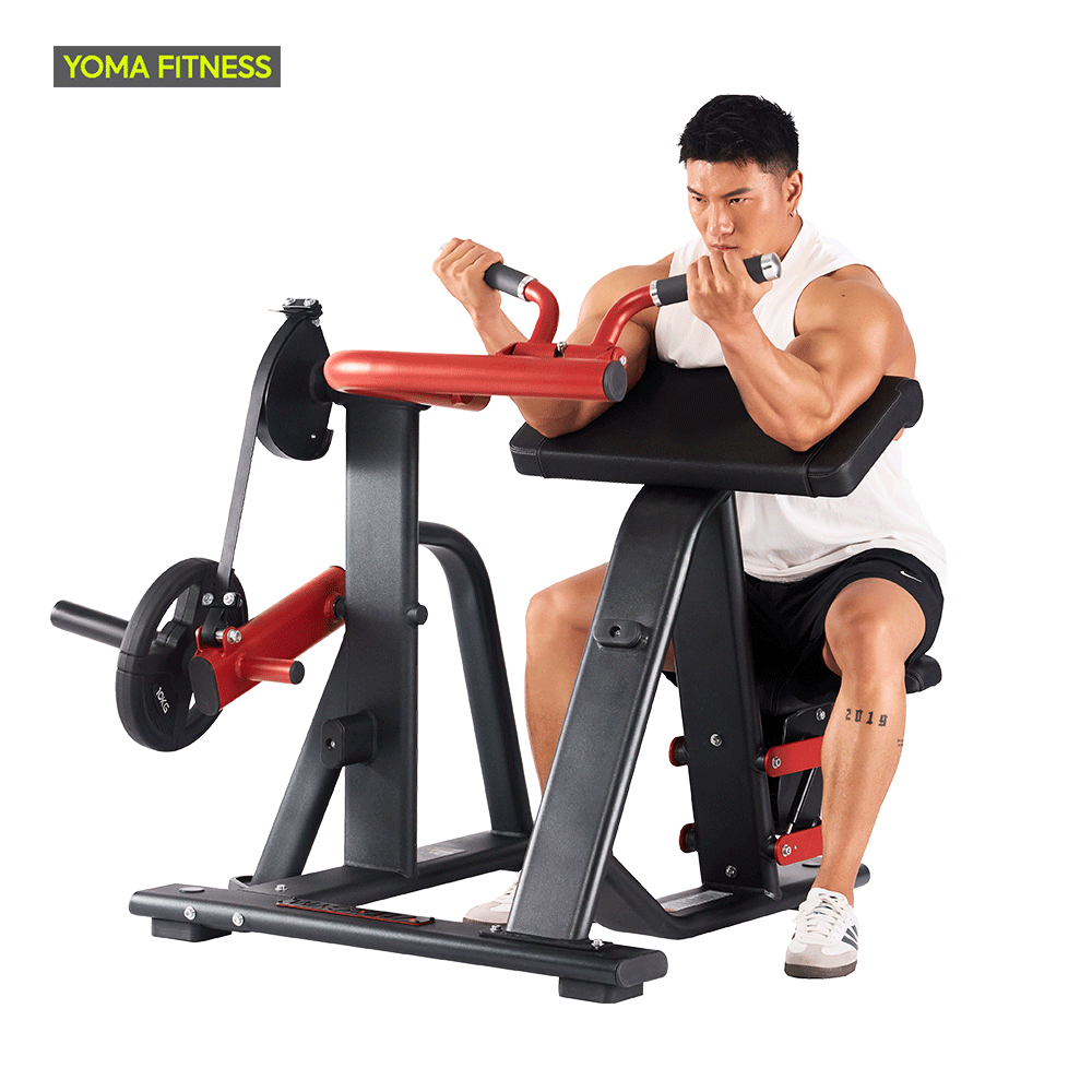 YOMA FITNESS Biceps Curl Machine in Guangzhou, China