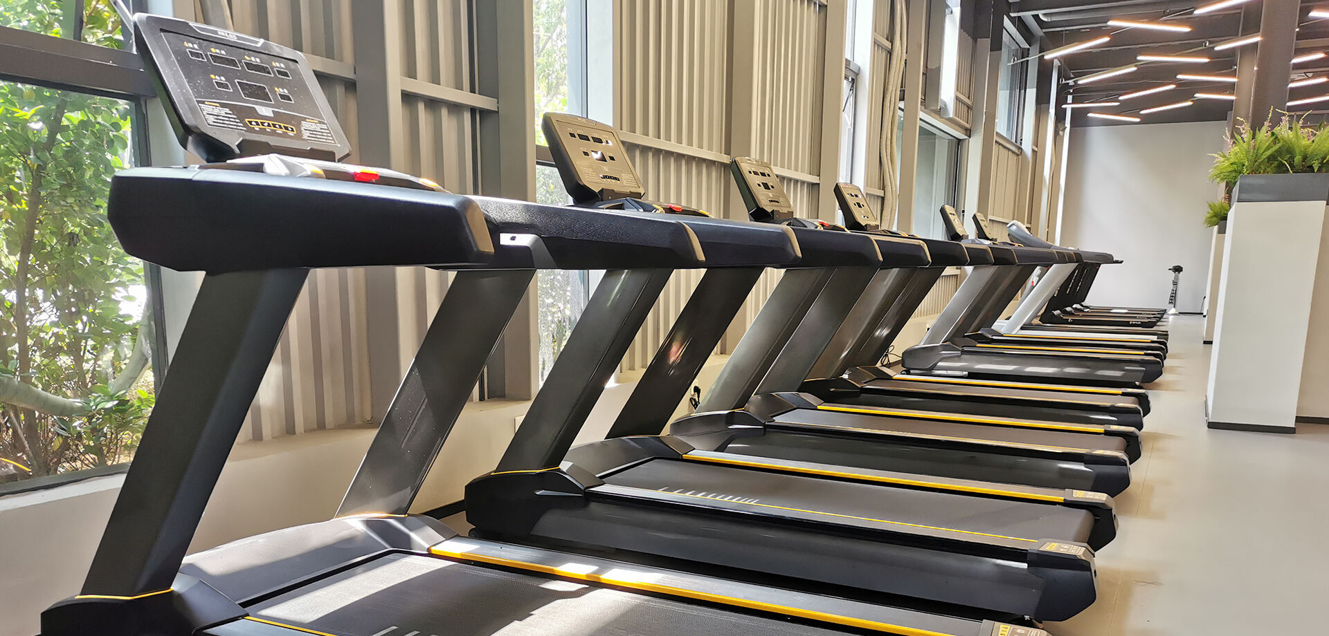 Commercial Chain Gyms