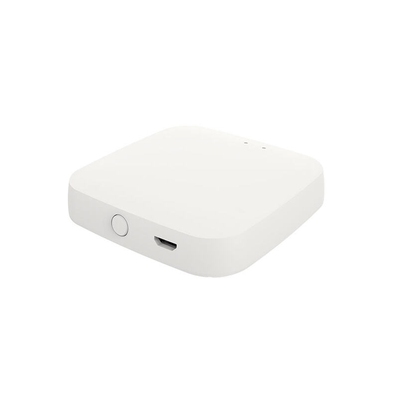 PengalihCerdas, PemalarWiFi, AutomasiRumah, PengalihTersembunyi, KawalanDua, AppleHomeKit, Tuya, KawalanSuara, 2200W, PemasanganMudah