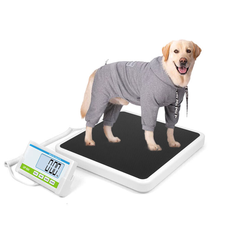 ACCCT QP660 Profesionalna medicinska podna teška: 300 kg kapaciteta za svestranost teške težine