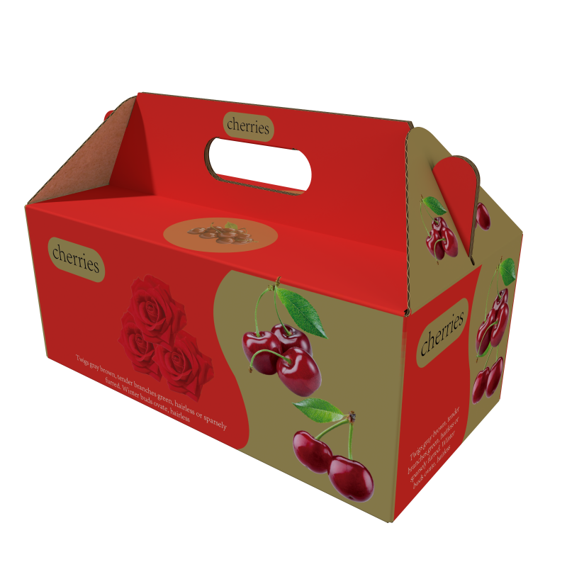 render_1154 (1).png