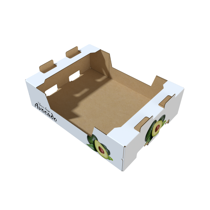 render_4145 (1).png