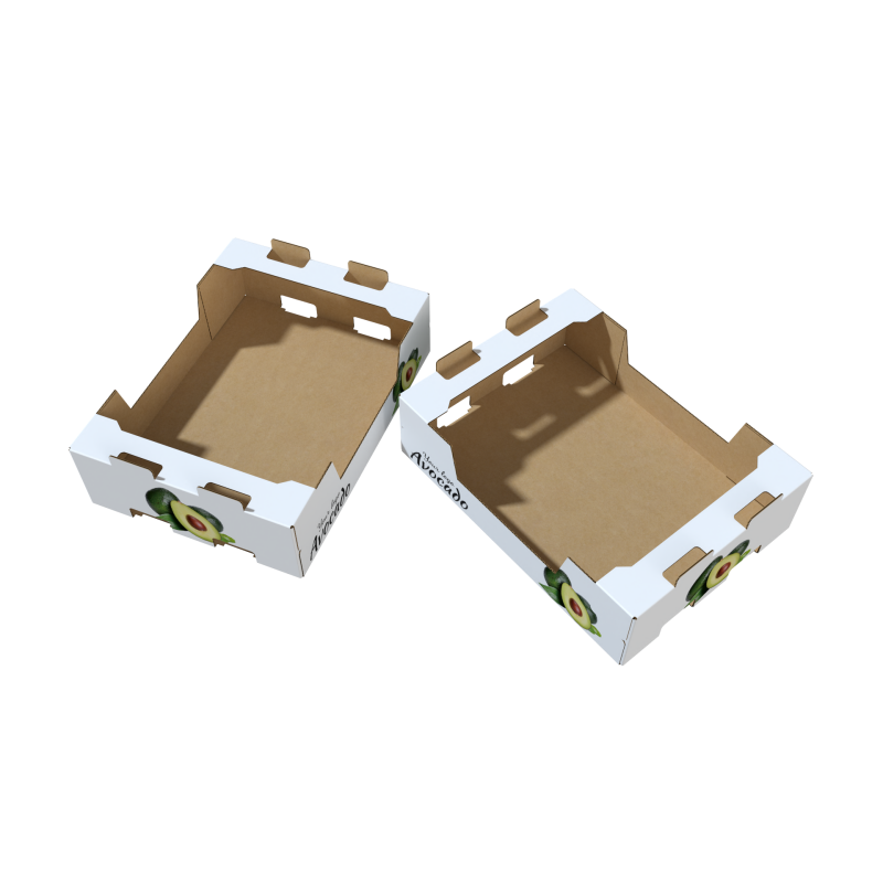 render_3005 (2).png