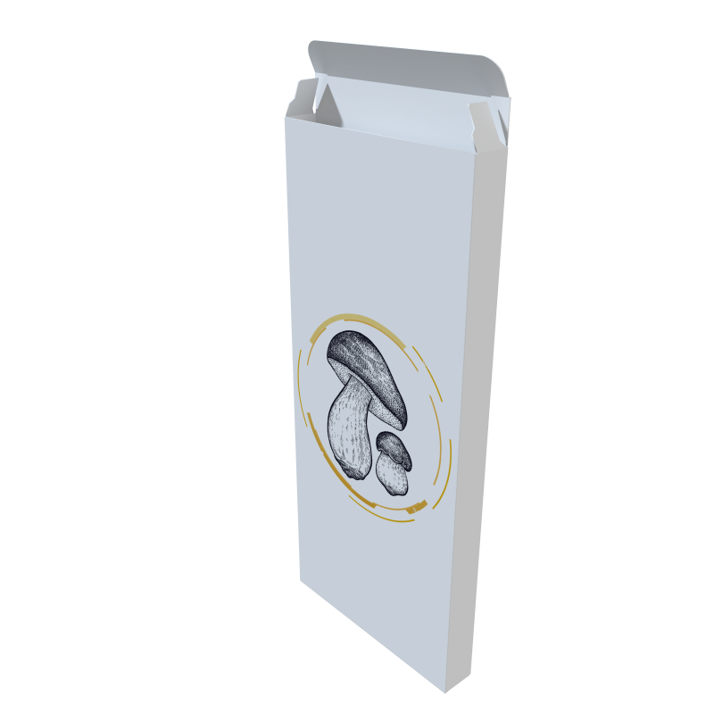 render_7402.png