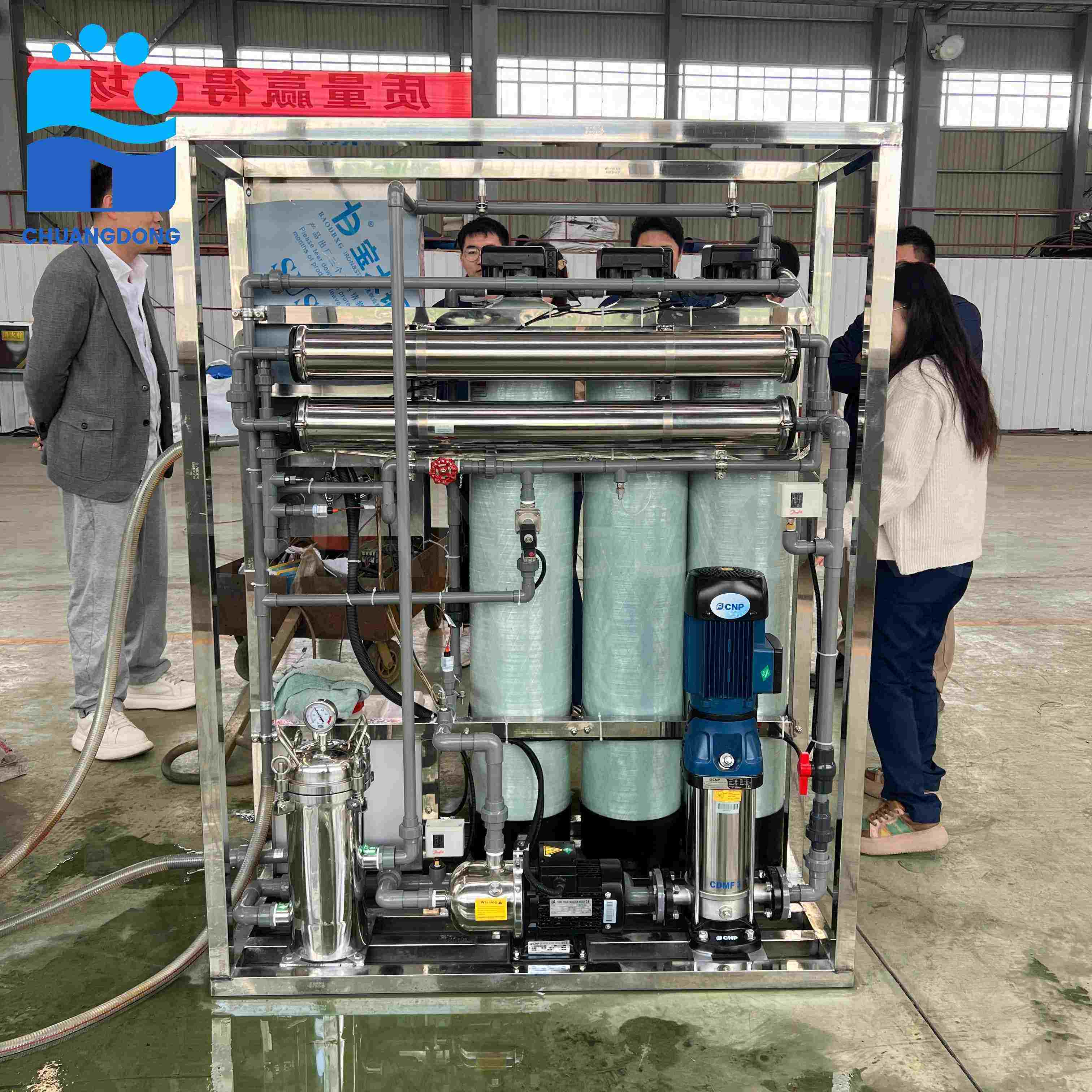 water purification system with ion exchange