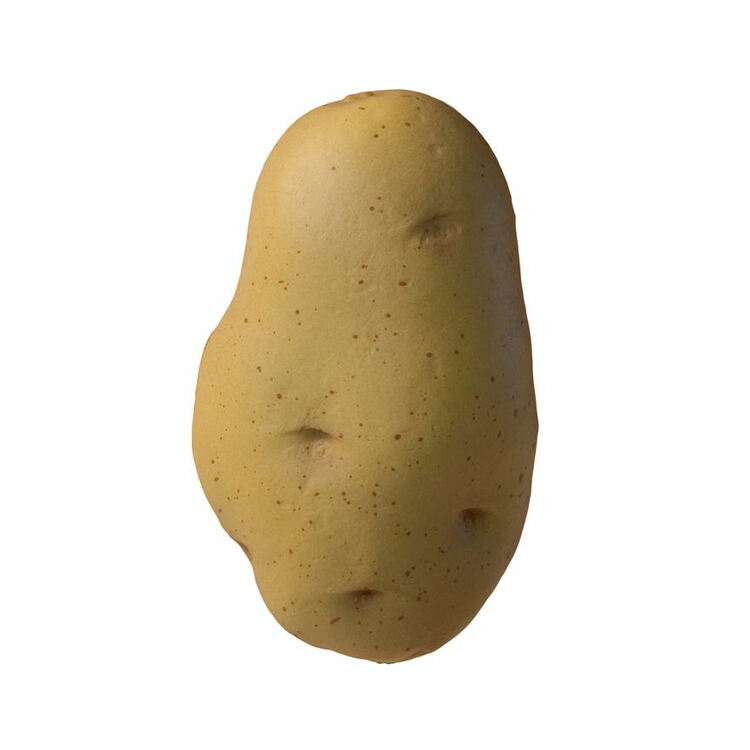PU Gift Giveaway Ideas Squishies Potato Scented Stress Balls