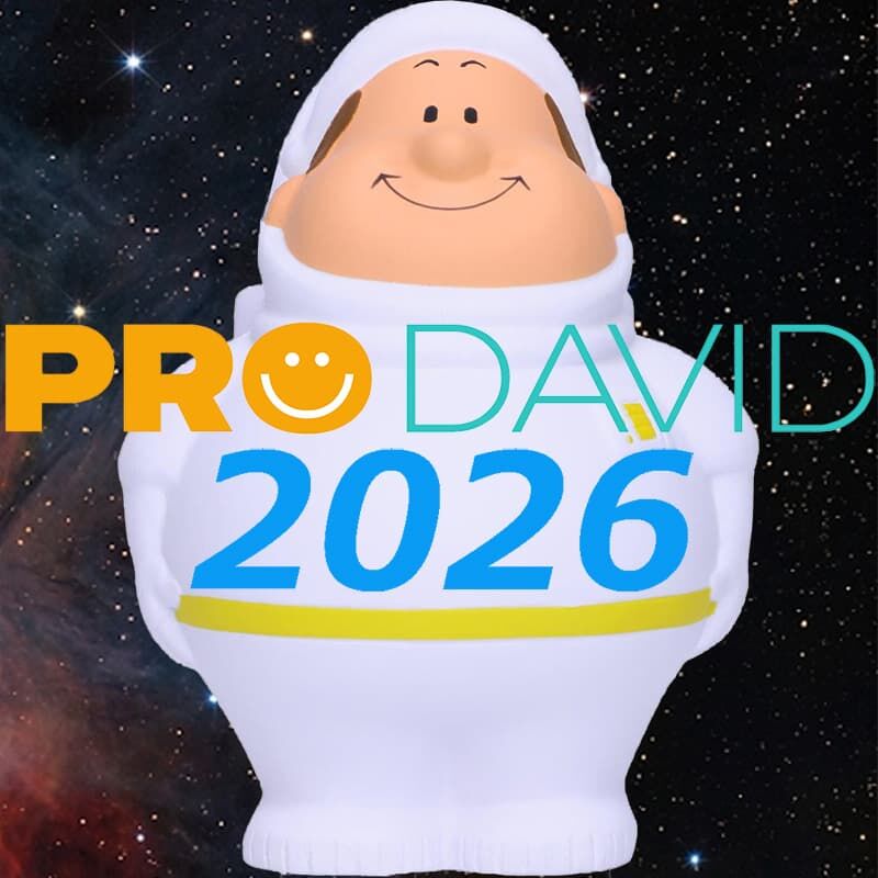 Pro David Inc_2026