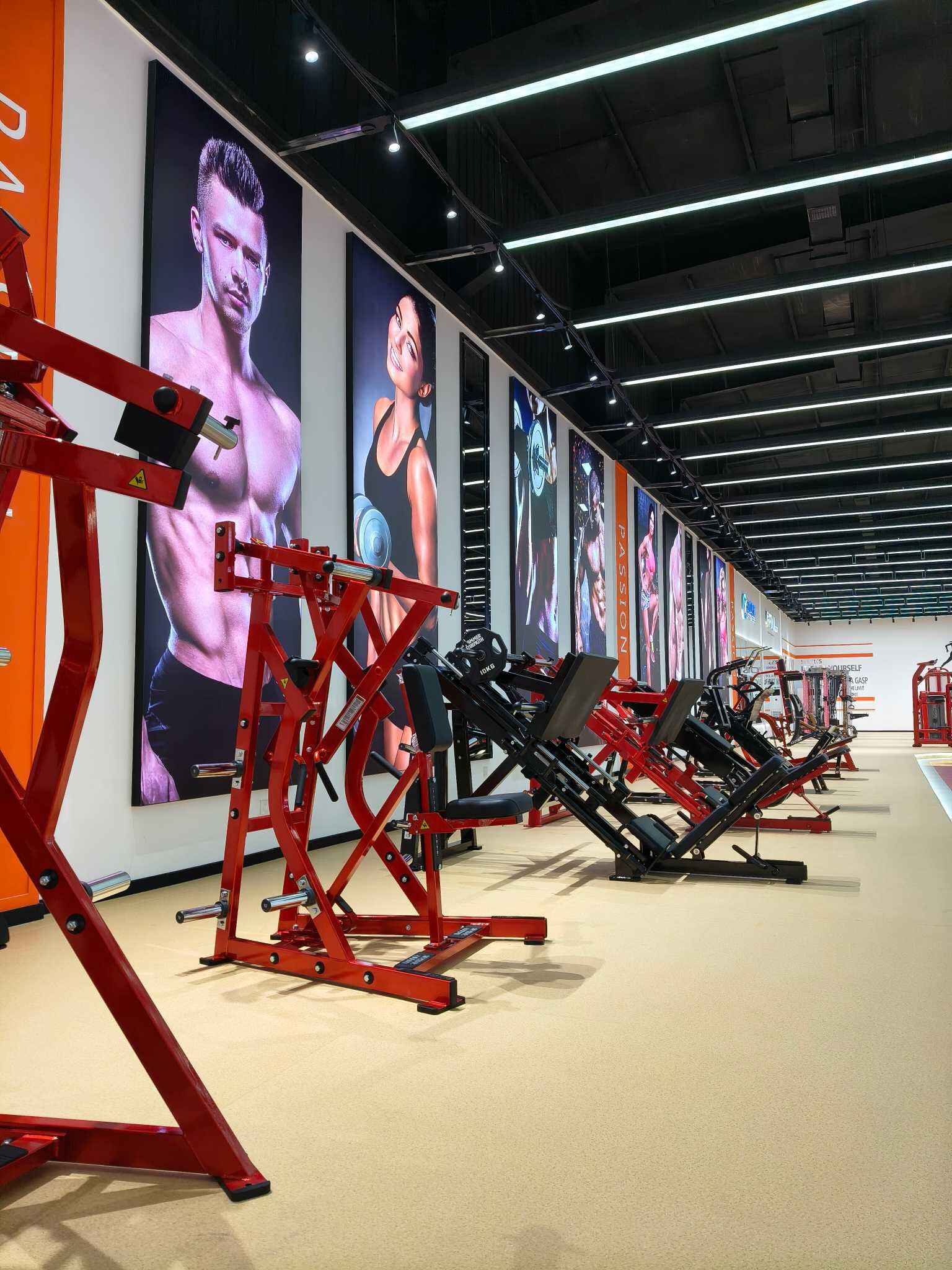 Empower Your Gym Business With Top-Tier Commercial Fitness Solutions