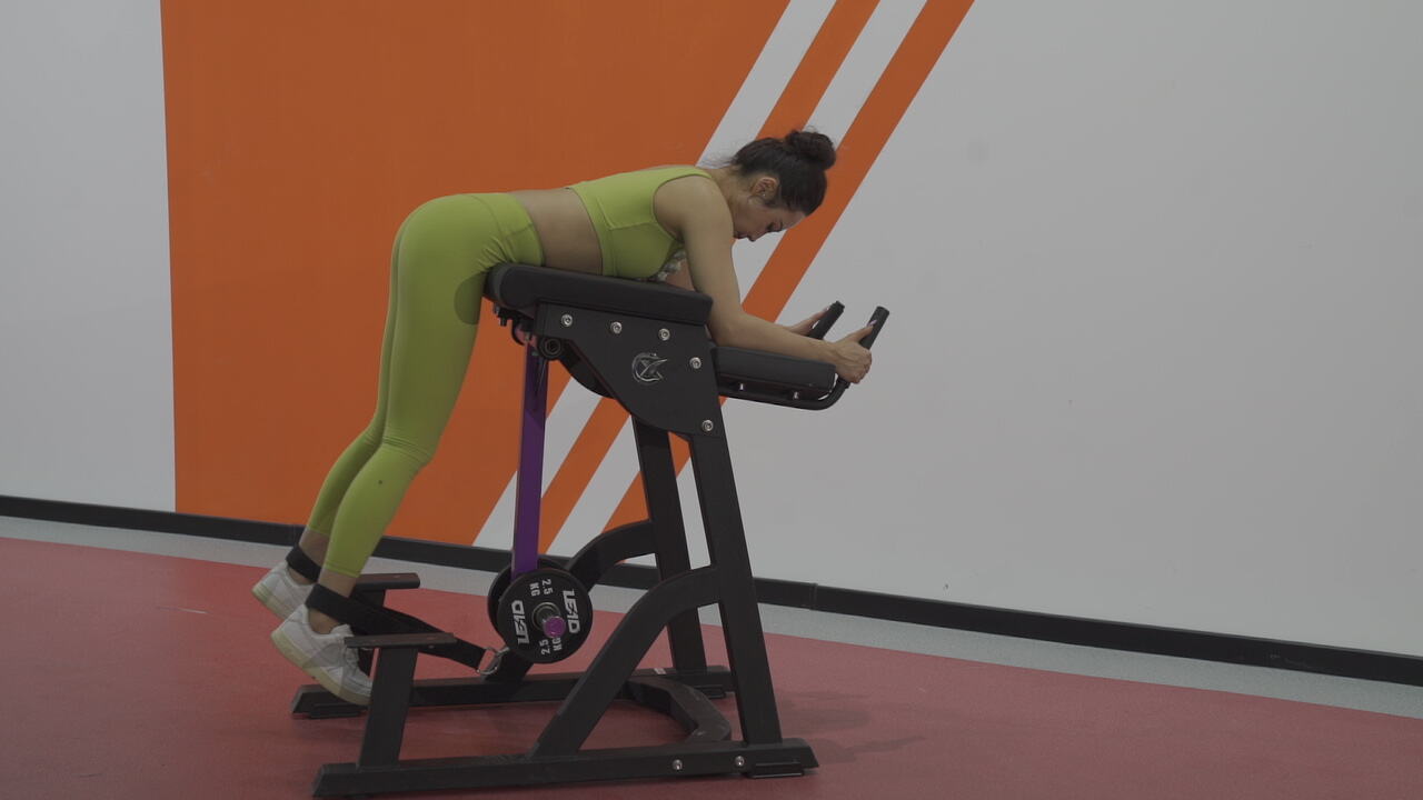 Advanced Biomechanical Engineering for Optimal Muscle Development