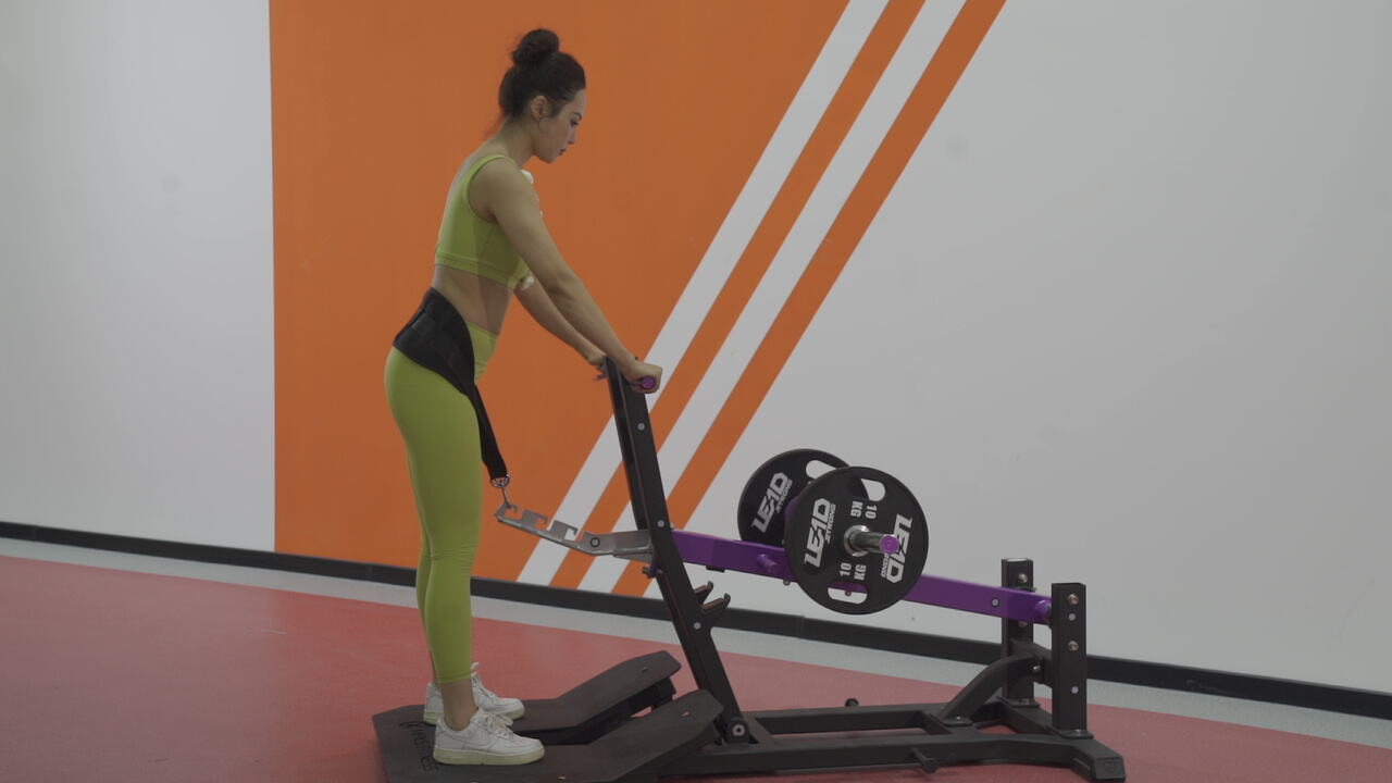 Comprehensive Muscle Group Coverage for Total Body Transformation