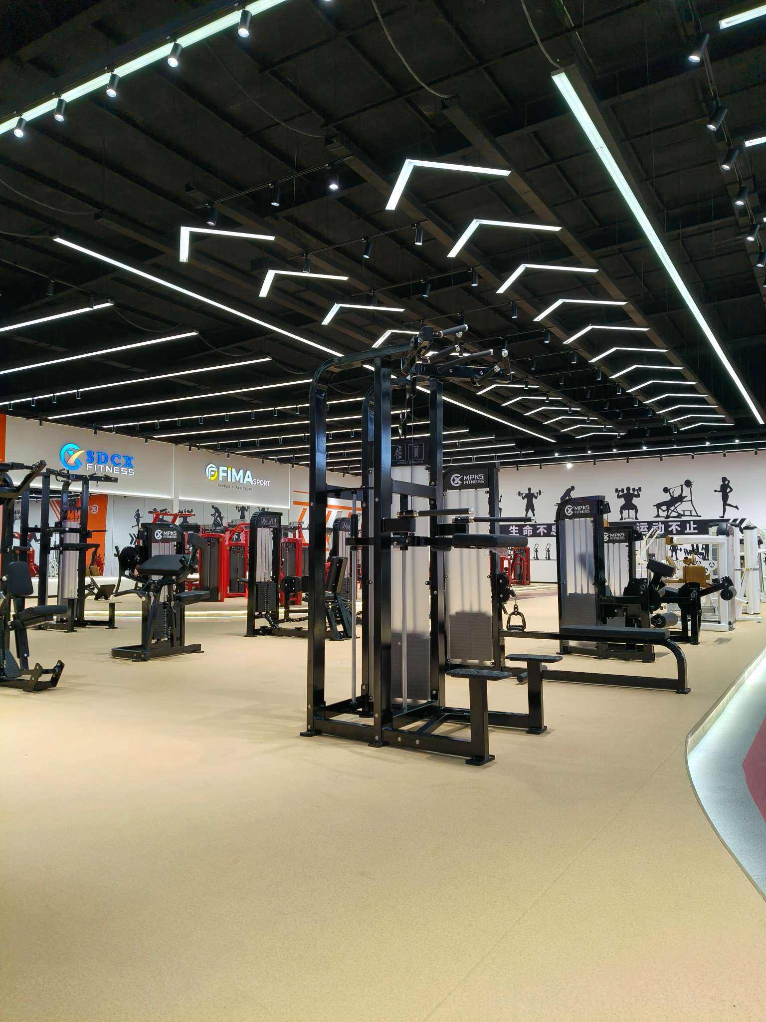 Renforcez votre entreprise de gym avec des solutions de fitness commerciales de premier ordre