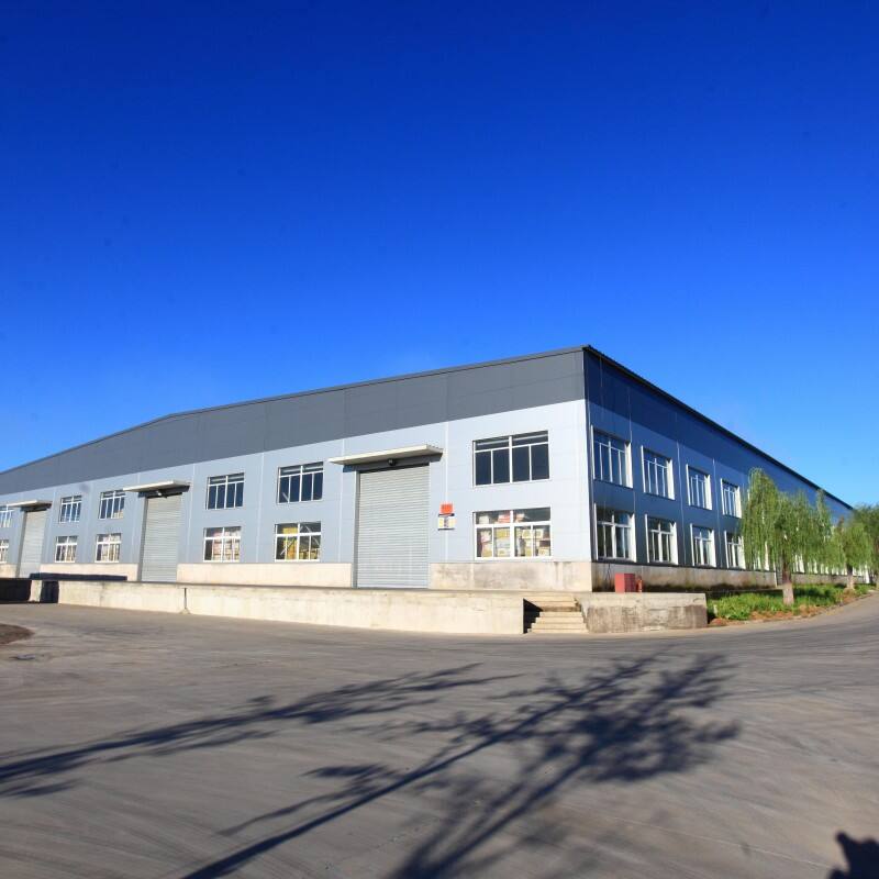 Our Company