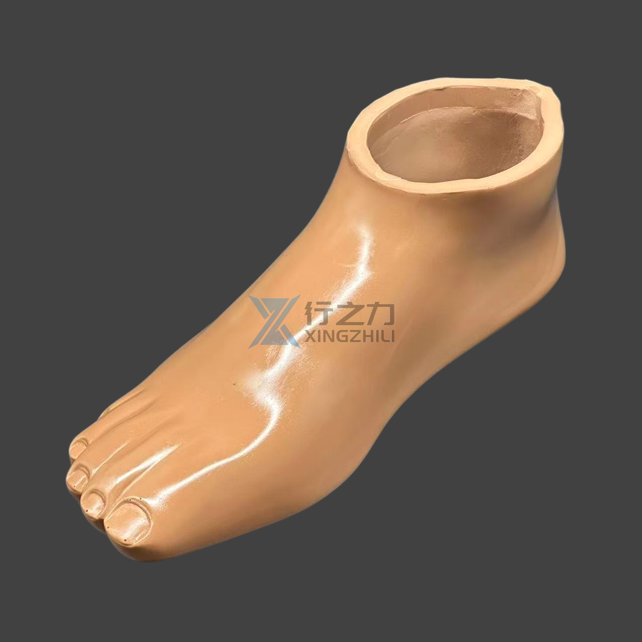1FC Footshell untuk lunas Freedom (Wheaten)