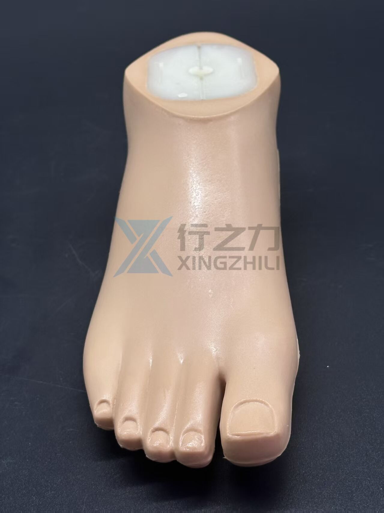 1W01 Lightweight Waterproof SACH Foot